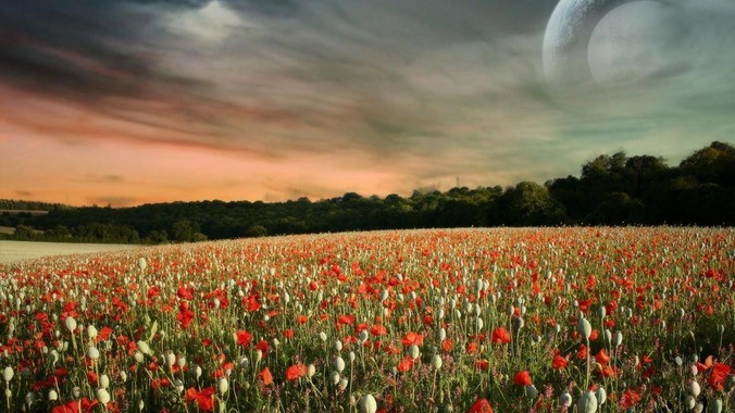 大a下一个牛市多久到来?